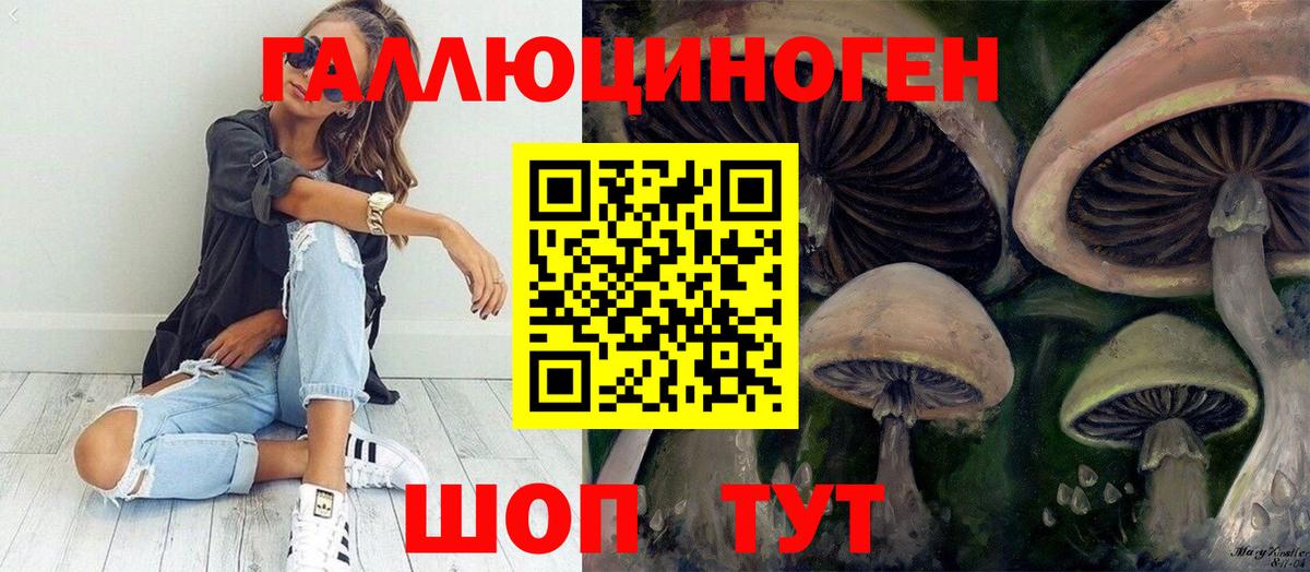 Шебекино  Галлюциногенные грибы Psilocybine cubensis  Вход с VPN 